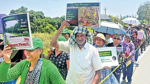 Wildlife activists and nature lovers take out a march on Sunday