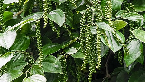 Representational image