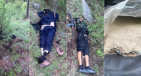 Two terrorists killed 