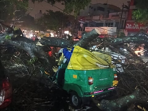 Auto Driver Killed as Tree Falls on Vehicle During Heavy Rains in Katriguppe, Bengaluru