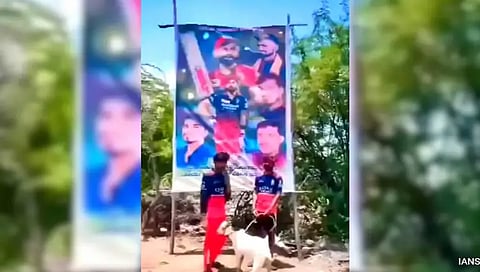 ವಿರಾಟ್ ಕೊಹ್ಲಿ ಕಟೌಟ್ ಮುಂದೆ ಮೇಕೆ ಬಲಿ ನೀಡಿದ ಆರ್‌ಸಿಬಿ ಅಭಿಮಾನಿಗಳು