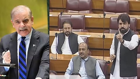 Pakistani MP Shahid Ahmed Khattak slammed Prime Minister Shehbaz Sharif