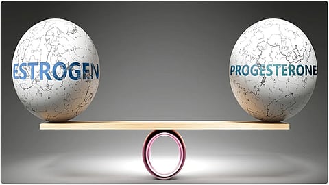 estrogen and progesterone