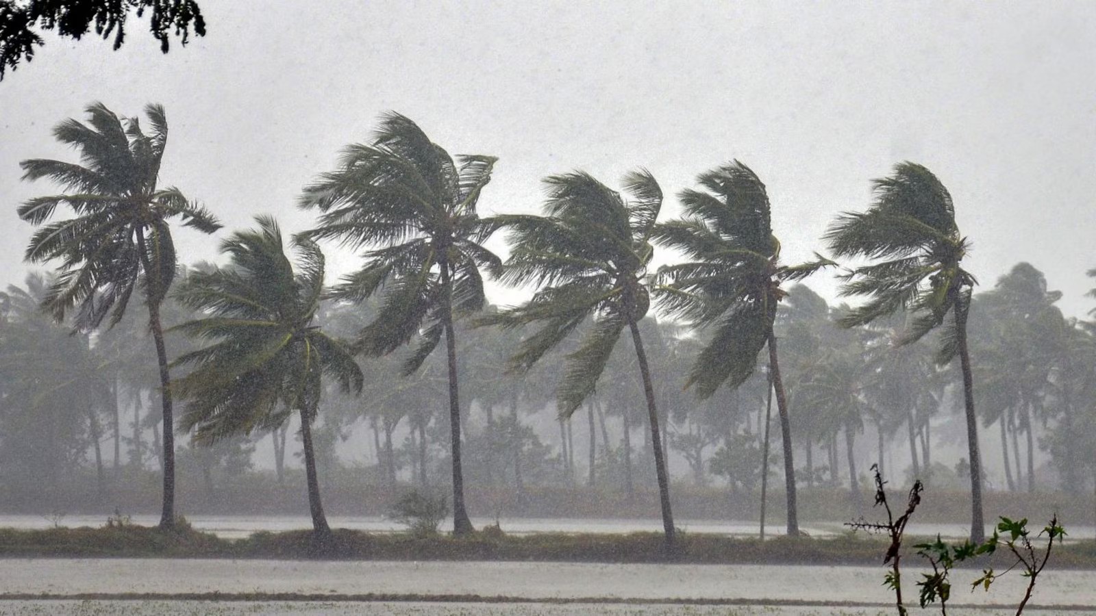 Monsoon Rains