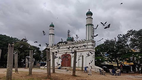 ಸಂಗ್ರಹ ಚಿತ್ರ