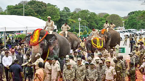 ಆಂಧ್ರಪ್ರದೇಶಕ್ಕೆ ಹಸ್ತಾಂತರ ಮಾಡಿರುವ ಕುಮ್ಕಿ ಆನೆಗಳು.