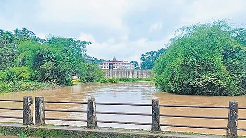 water level in the Cauvery river has started to rise
