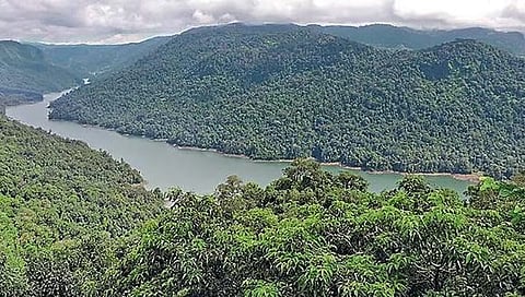 Sharavathi sanctuary