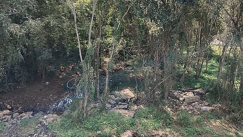 Kumudvathi river 