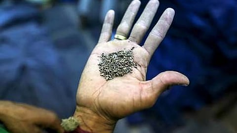 ಸಂಗ್ರಹ ಚಿತ್ರ