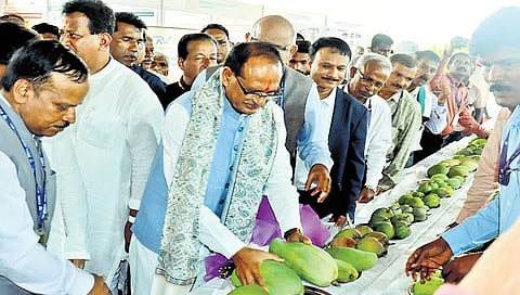 Shivaraj Singh Chouhan during the launch of Viksit Krishi Sankalp Abhiyan