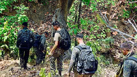 The encounter took place in the forested areas of Pachmadar and Katejhiriya
