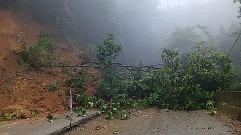 Hill collapse 