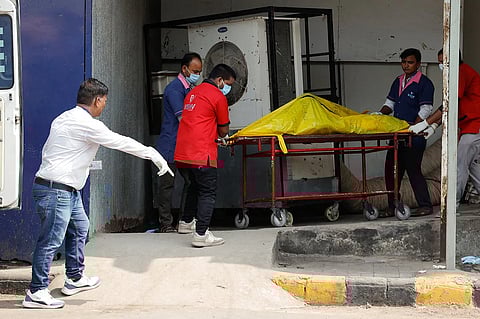 victims Bodies