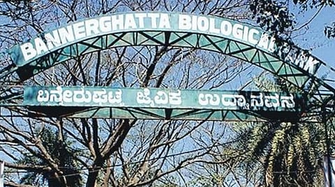 Bannerghatta Biological Park