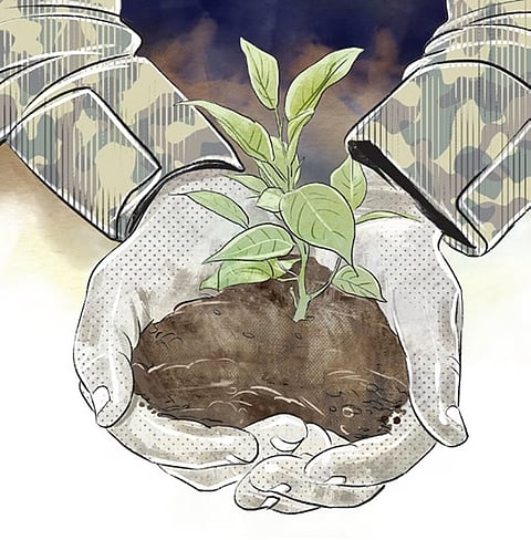 Representational image 