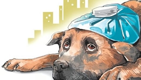 Representational image