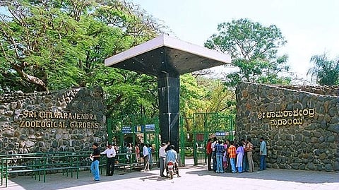 mysuru Zoo