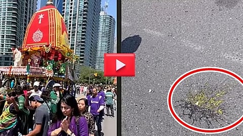 Rath Yatra in Toronto