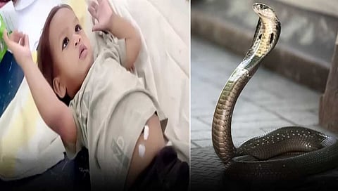 One Year Old Baby Govinda