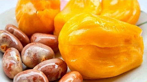 Jackfruit