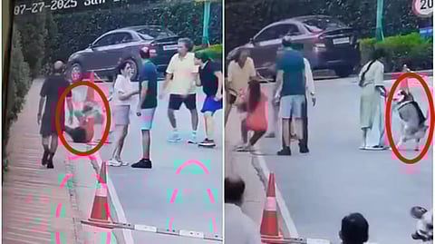 Gurugram woman on morning walk attacked by Husky