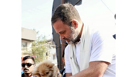 Rahul Gandhi