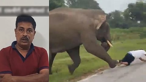Man arrested by Forest department