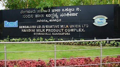 Bamul (file pic)