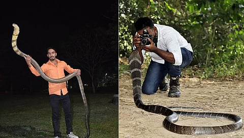 foresters bust king cobra photo racket