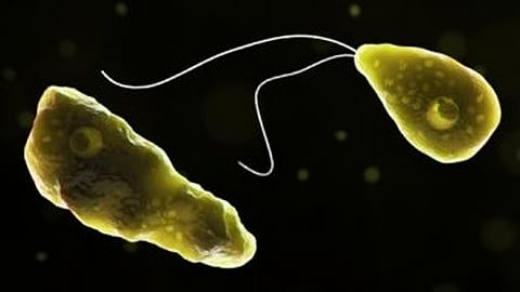 Kerala reports sixth death from rare brain-eating infection as 10 patients remain under treatment