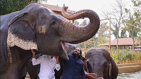 ವಂತಾರಾ ಮೃಗಾಲಯ