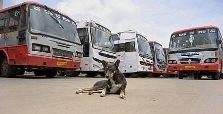 KSRTC