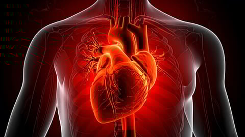 World Heart Day-30-40 ರ ಹರೆಯದ ಯುವಜನರಲ್ಲಿ ಹೃದಯ ಕಾಯಿಲೆ ತೀವ್ರ ಹೆಚ್ಚಳ-ವೈದ್ಯರು ಏನಂತಾರೆ?