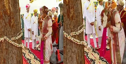 Pooja to the vruksha