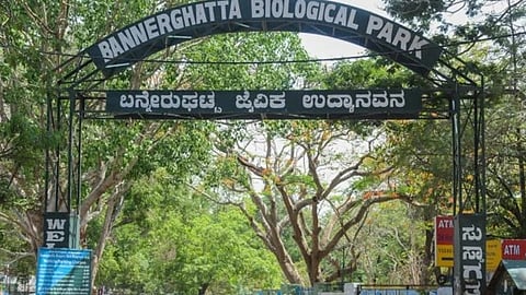 Bannerghatta Biological Park