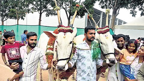 Farmers showcase their oxen on the final day of the Krishi Mela at GKVK campus in Bengaluru on Sunday
