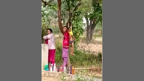 teacher hangs 5-year-old from tree