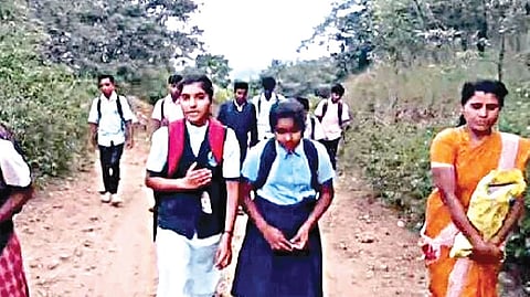 No buses, roads, students walk 14km to school and back