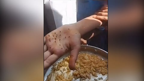 worms found in midday meal