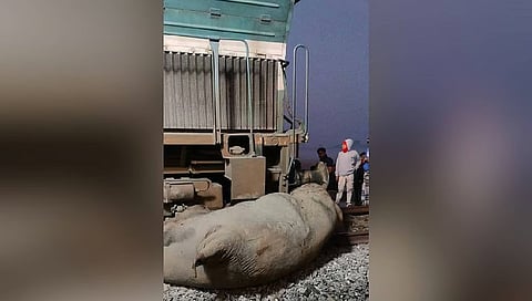 ಆನೆ ಹಿಂಡಿಗೆ ರೈಲು ಡಿಕ್ಕಿ