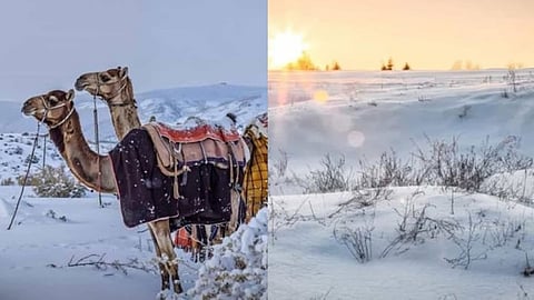 A video showed snowfall turning a vast desert into a white expanse, with a few camels visible