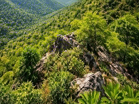 Centre imposes 'complete ban' on new mining leases in Aravalli range amid row over redefinition