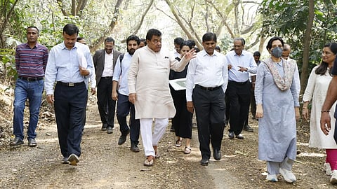 Karnataka to develop 65-acre tree park at Baiyappanahalli