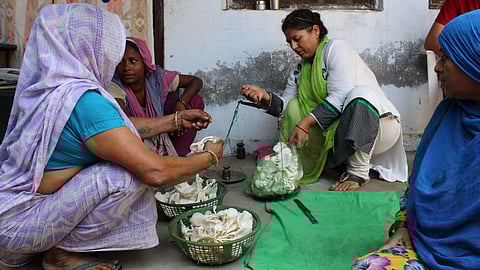 mushroom farming in Bengaluru