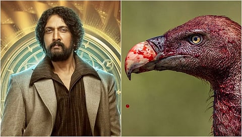 ಬಿಗ್ ಬಾಸ್ 12 ಫಿನಾಲೆ ಹೊತ್ತಲ್ಲಿ ಕಿಚ್ಚ ಸುದೀಪ್‌ಗೆ ಸಂಕಷ್ಟ ತಂದ 'ರಣಹದ್ದು'!