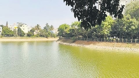 Kalena Agrahara Lake