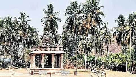 The coconut grove near the Gejjal Mantap in Hampi 