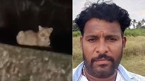 leopard attacked and killed a devotee