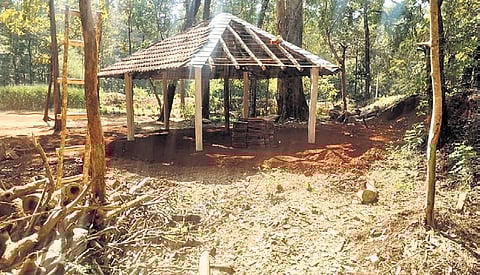The pergola that has come up inside the Kali Tiger Reserve.